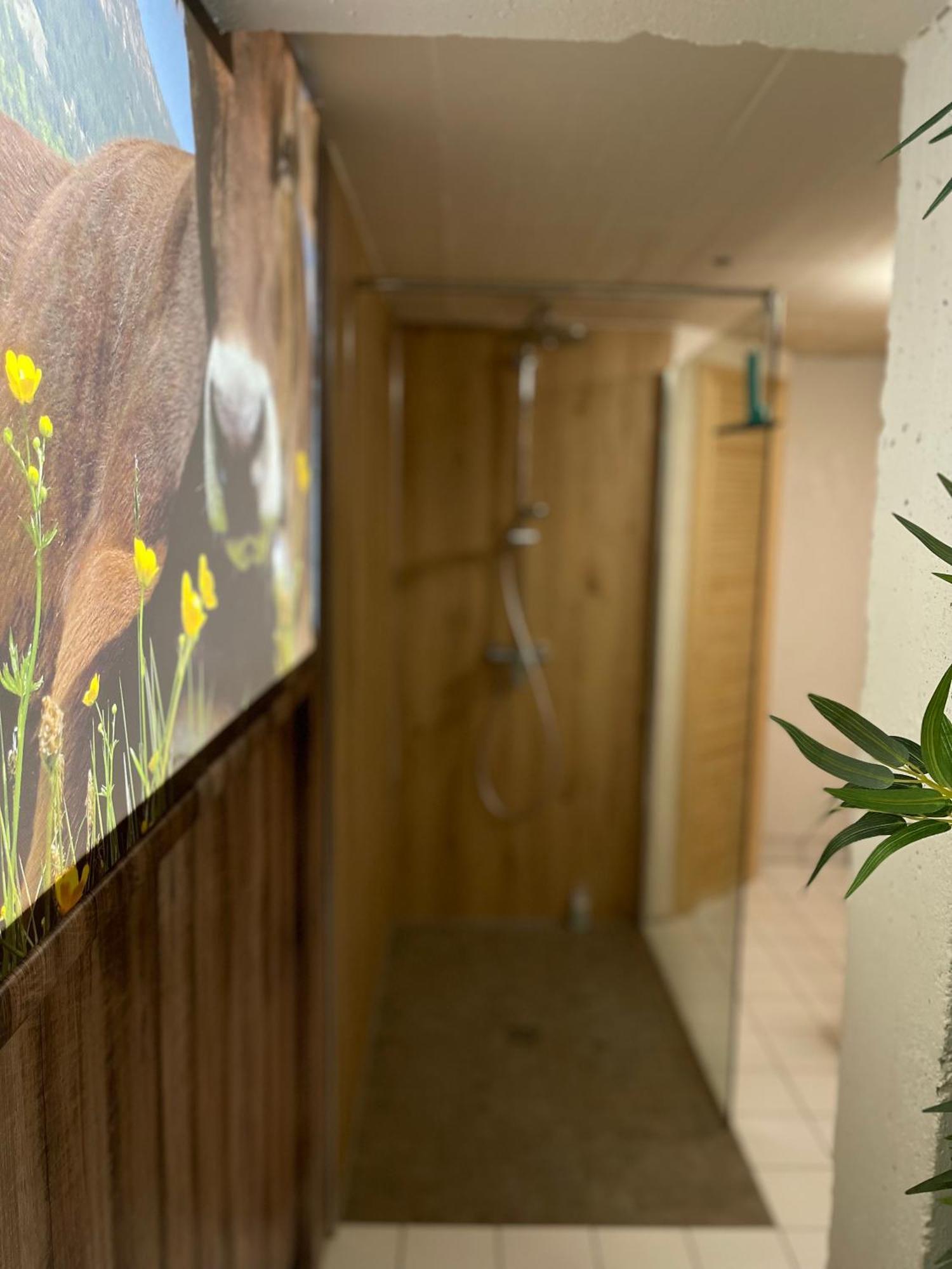 Ferienwohnung Am Muhlbach 21 Mit Bergbahn Unlimited Oberstdorf Exteriér fotografie